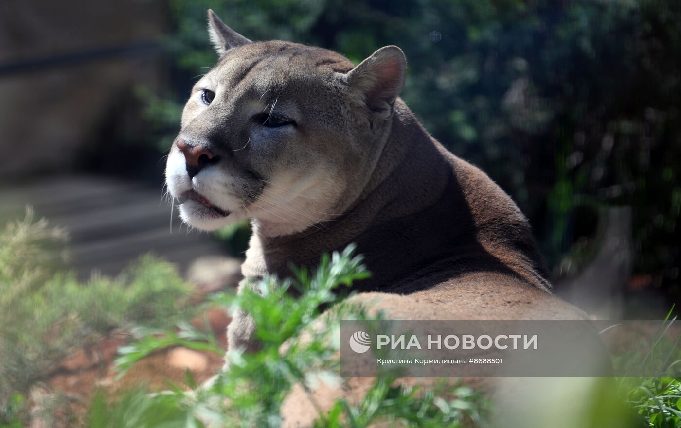 Московский зоопарк