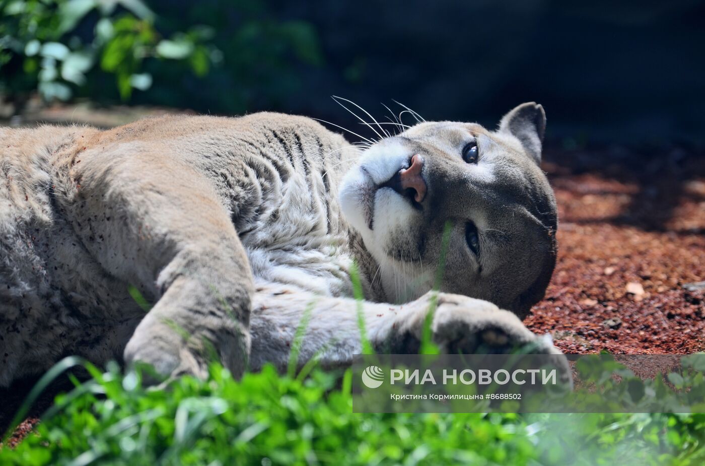 Московский зоопарк