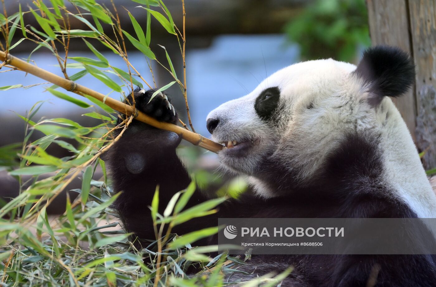 Московский зоопарк