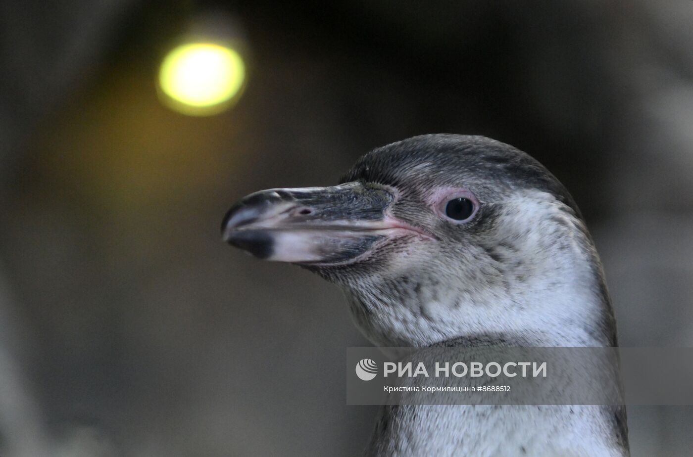 Московский зоопарк