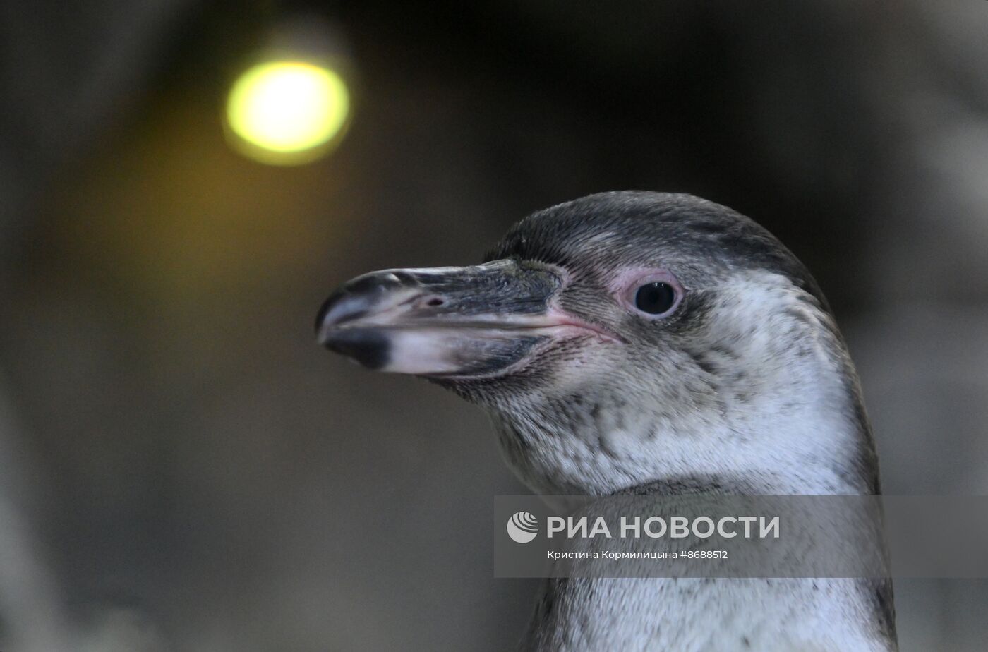 Московский зоопарк