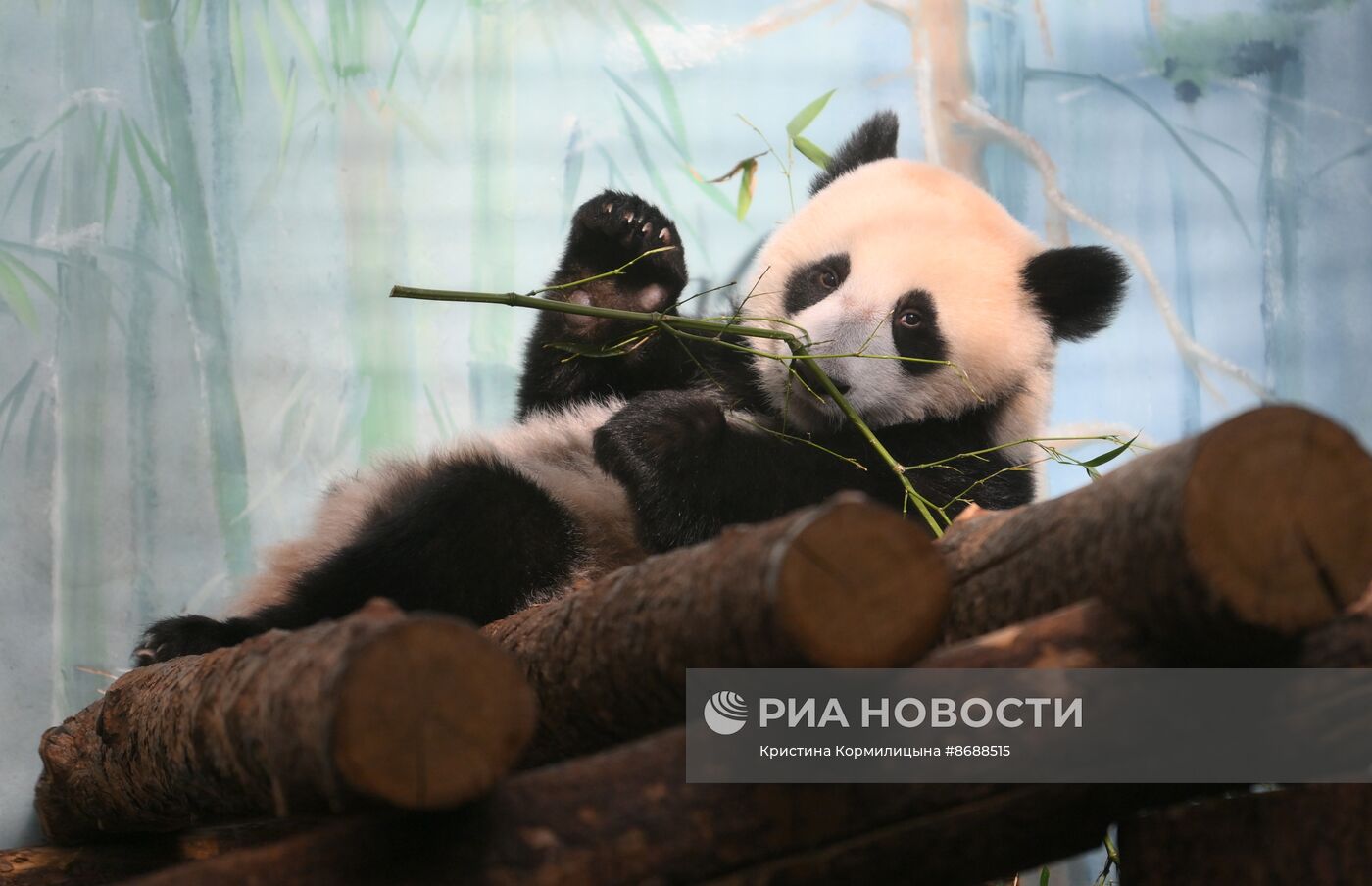 Московский зоопарк