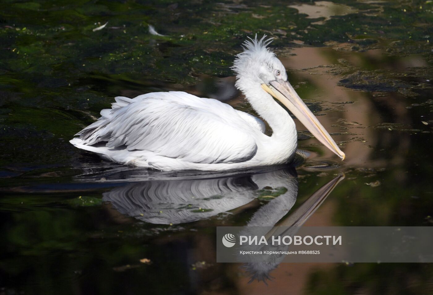 Московский зоопарк