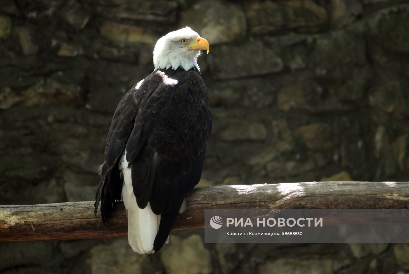 Московский зоопарк