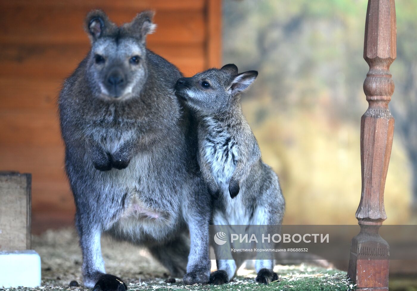 Московский зоопарк