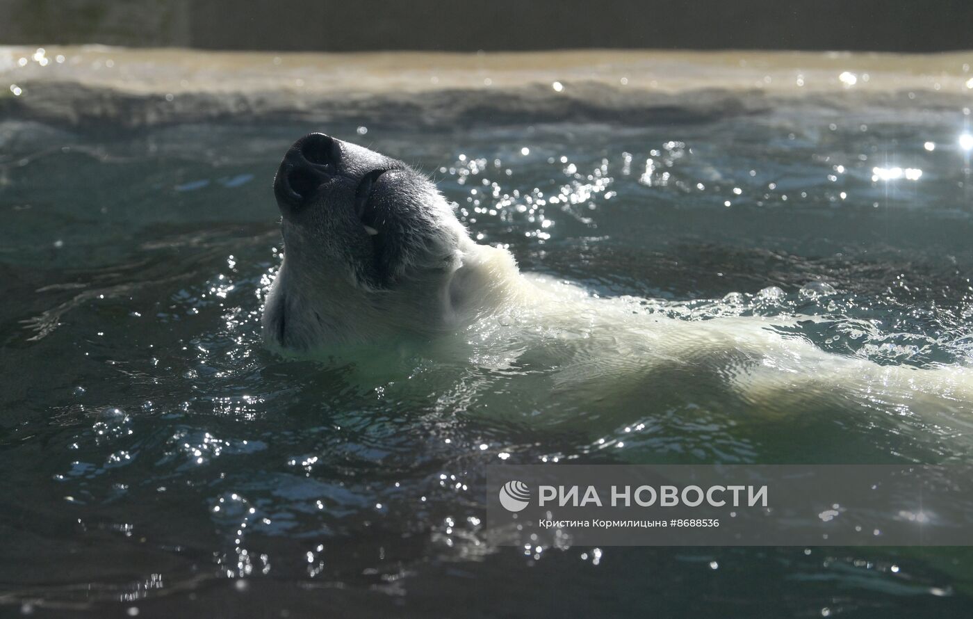 Московский зоопарк