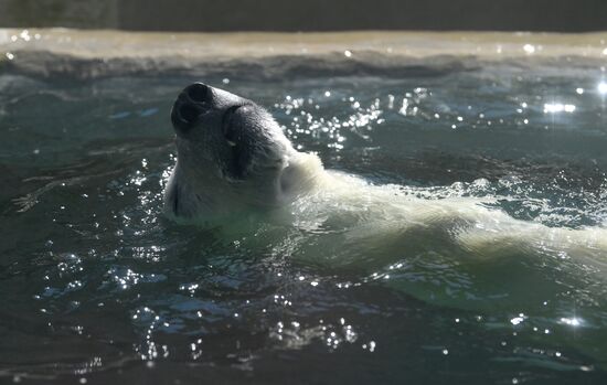 Московский зоопарк