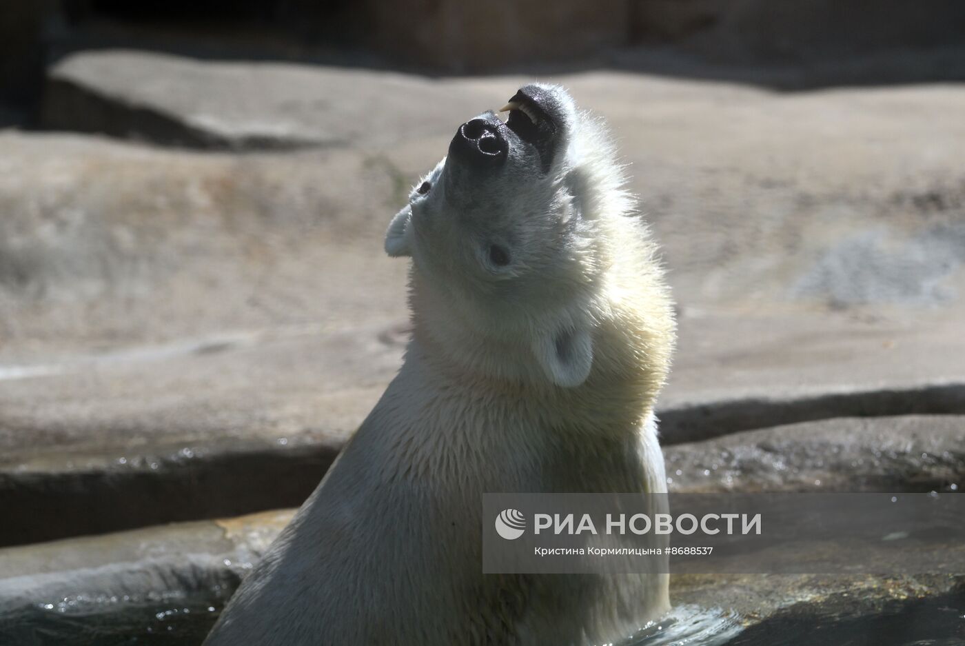 Московский зоопарк