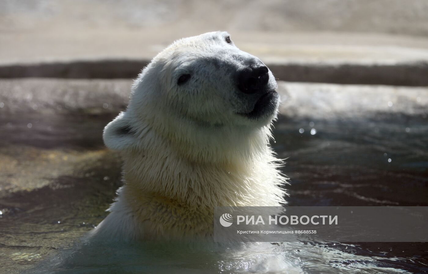 Московский зоопарк