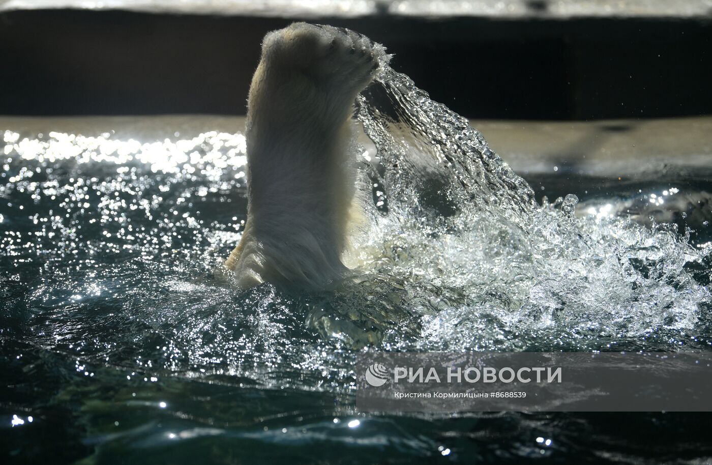 Московский зоопарк