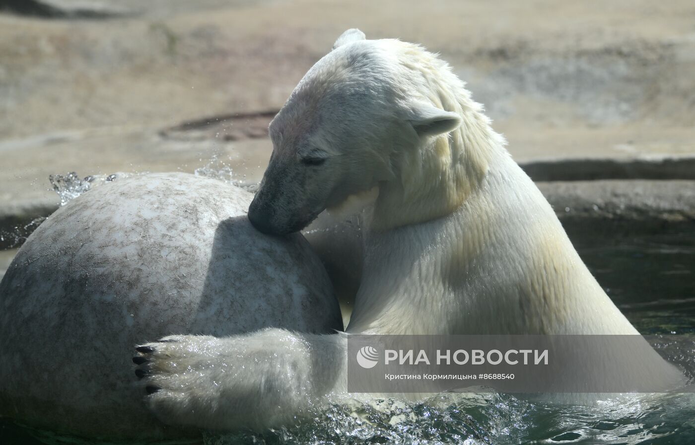 Московский зоопарк