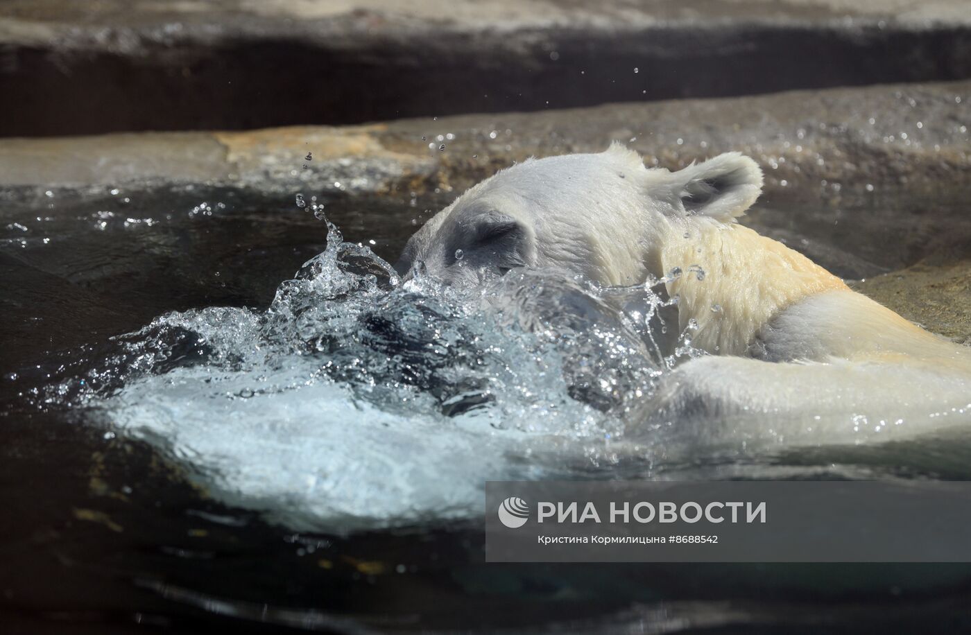 Московский зоопарк