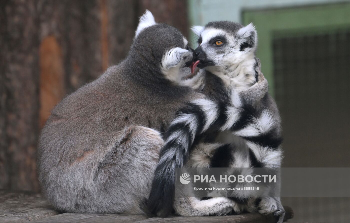 Московский зоопарк