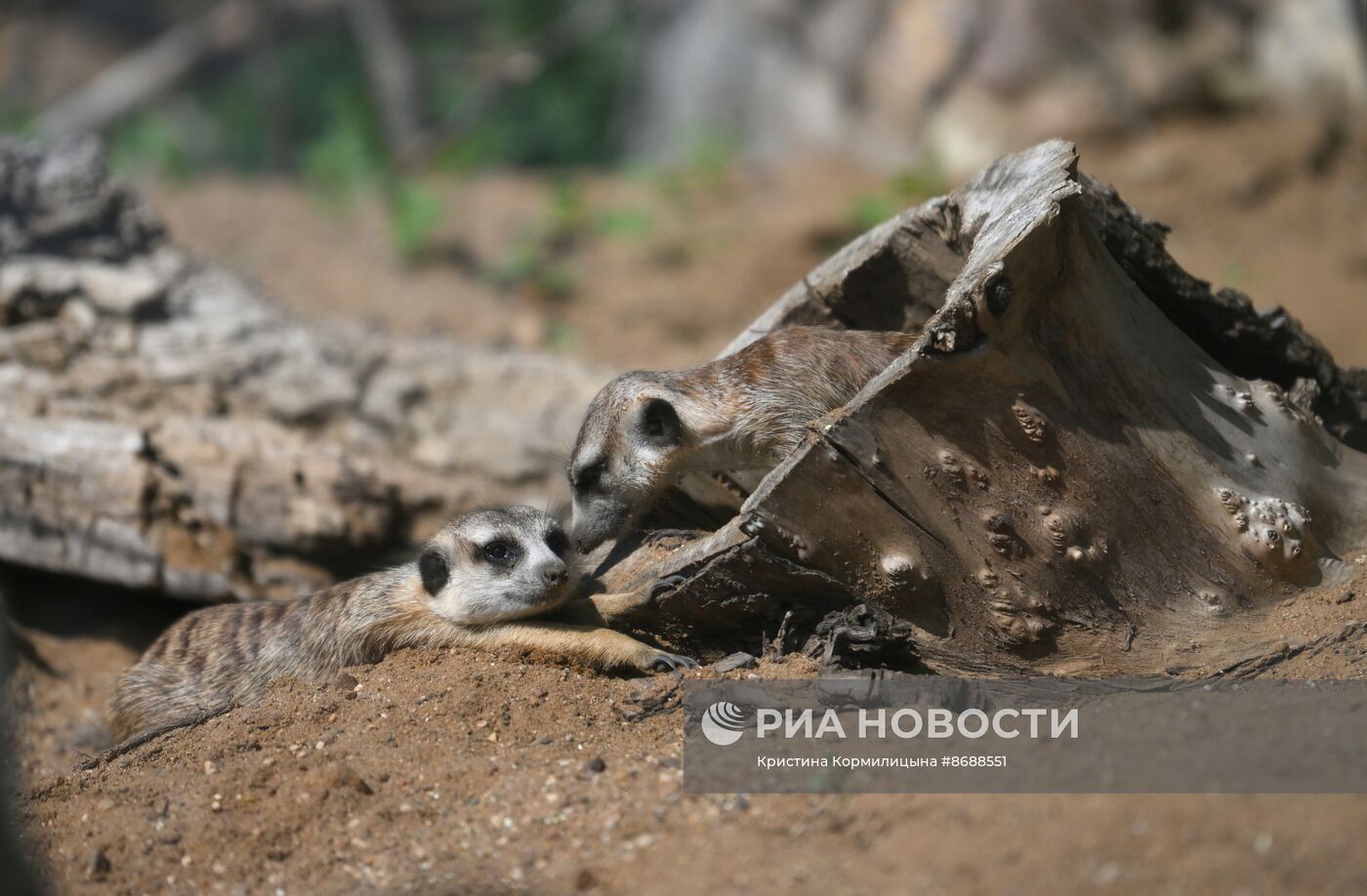 Московский зоопарк