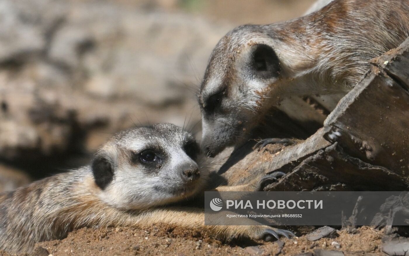 Московский зоопарк