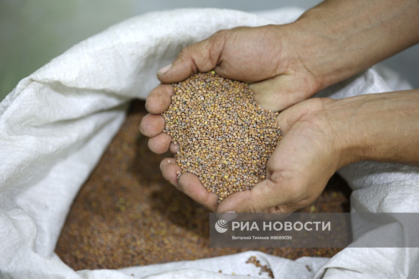 Работа селекционно-семеноводческого центра в Крымске