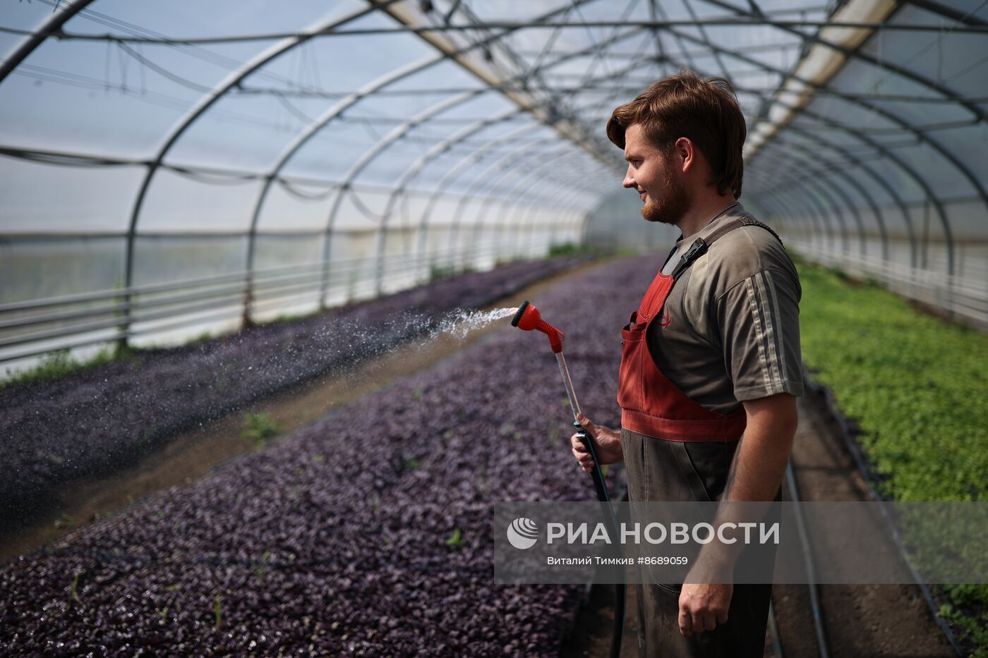 Работа селекционно-семеноводческого центра в Крымске