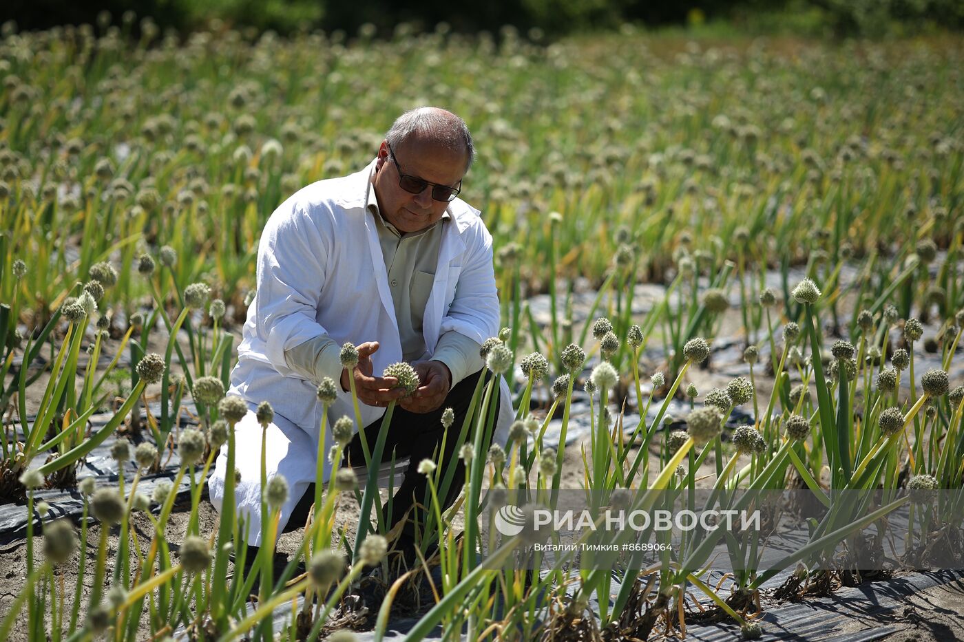 Работа селекционно-семеноводческого центра в Крымске