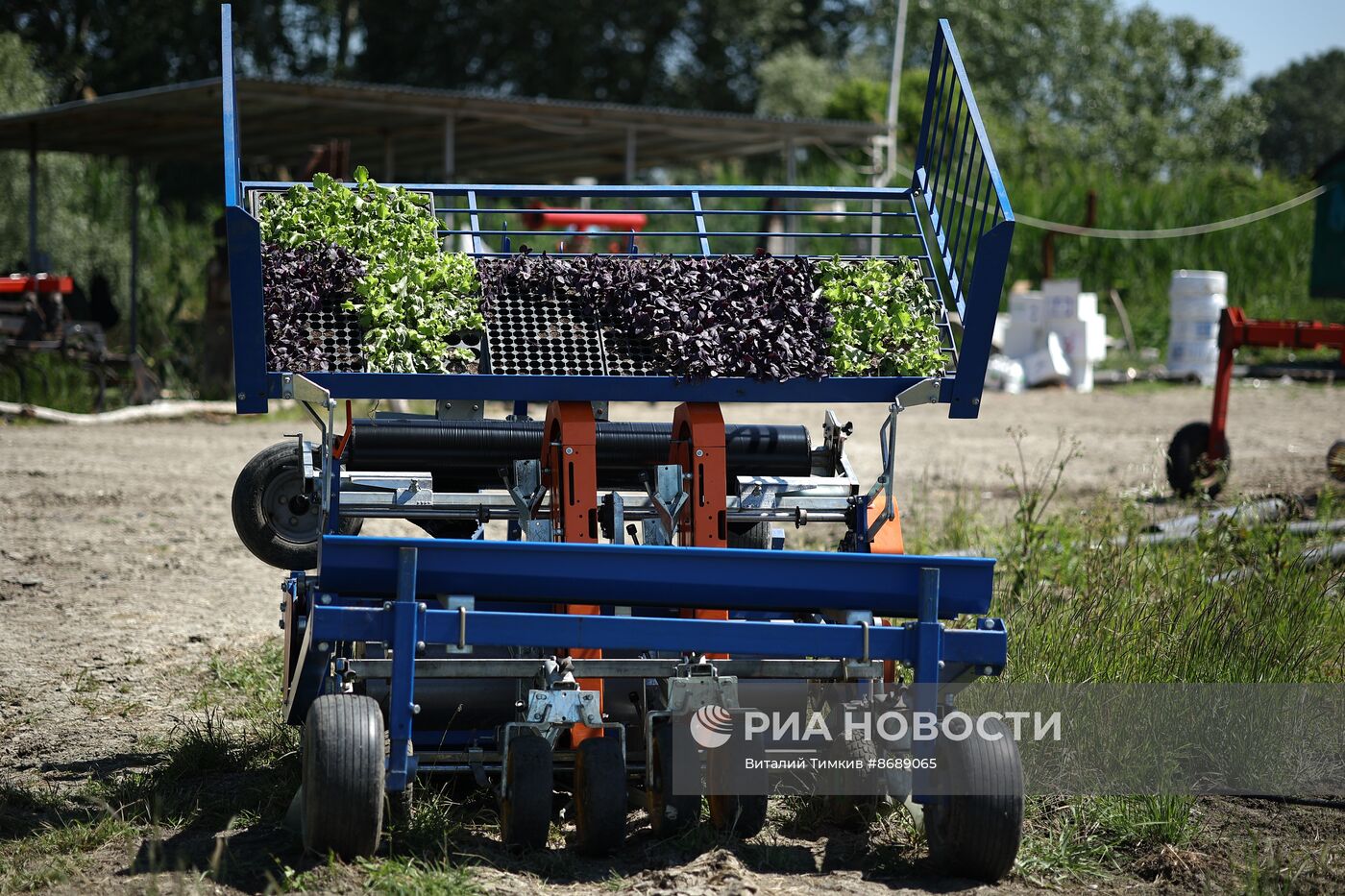 Работа селекционно-семеноводческого центра в Крымске