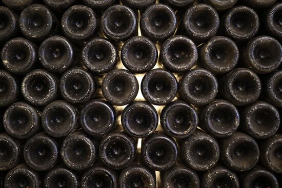 Производство вина "Фанагория" в Краснодарском крае