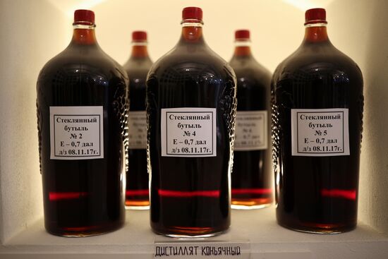 Производство вина "Фанагория" в Краснодарском крае