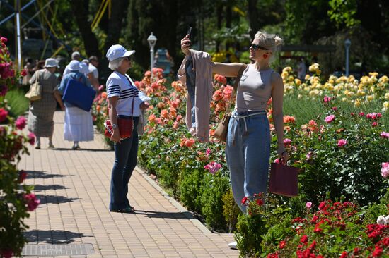 В Сочи в парке "Ривьера" зацвели розы