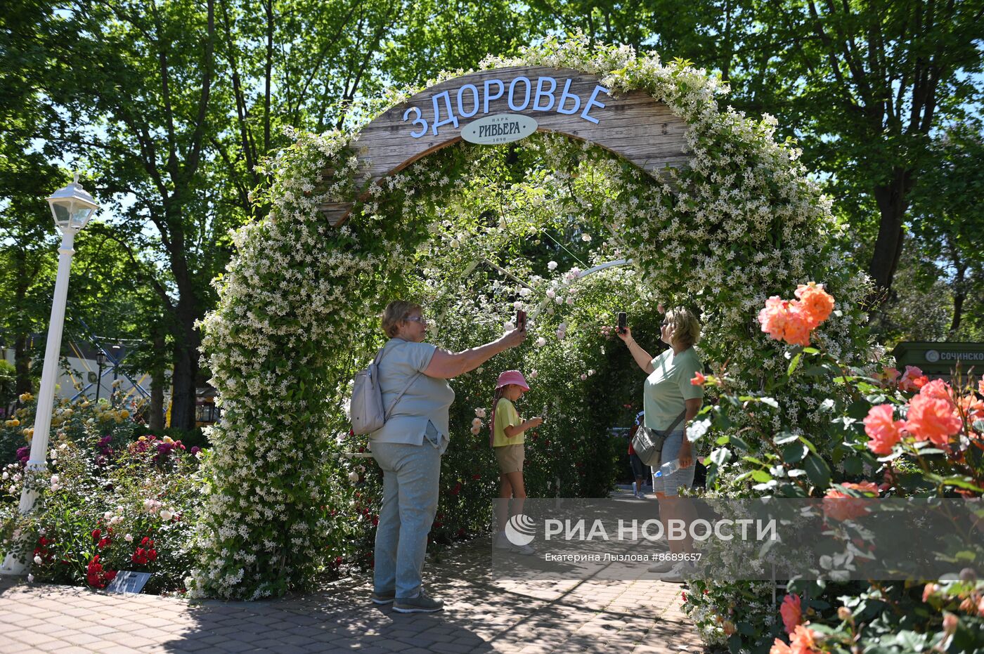 В Сочи в парке "Ривьера" зацвели розы