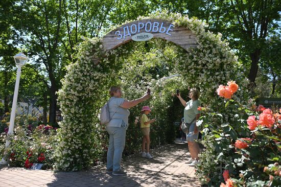 В Сочи в парке "Ривьера" зацвели розы