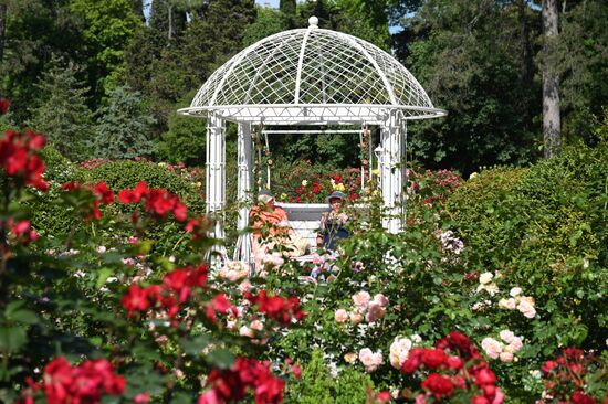 В Сочи в парке "Ривьера" зацвели розы