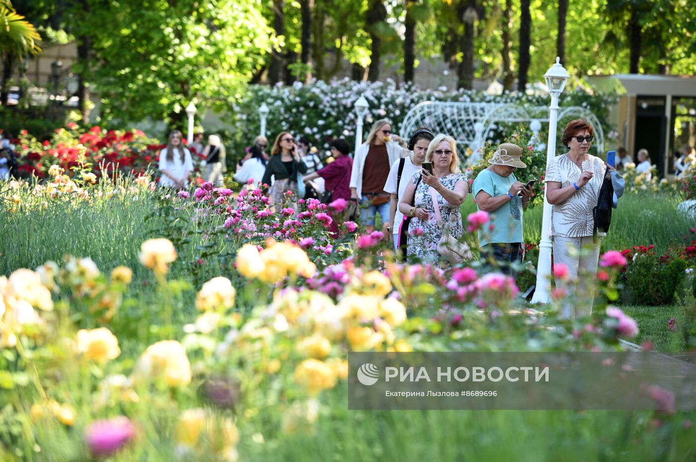 В Сочи в парке "Ривьера" зацвели розы