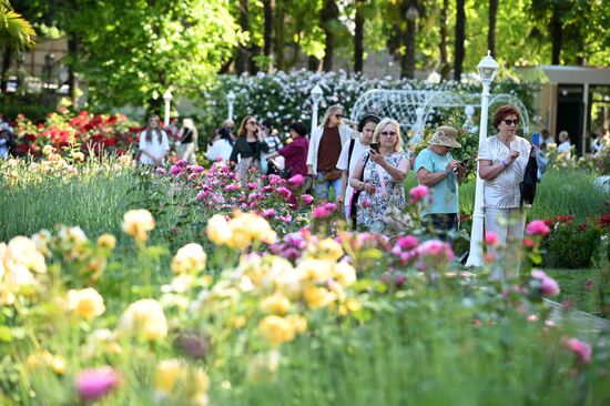 В Сочи в парке "Ривьера" зацвели розы