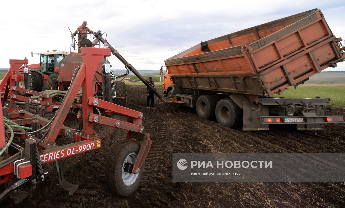 Посевная в Красноярском крае