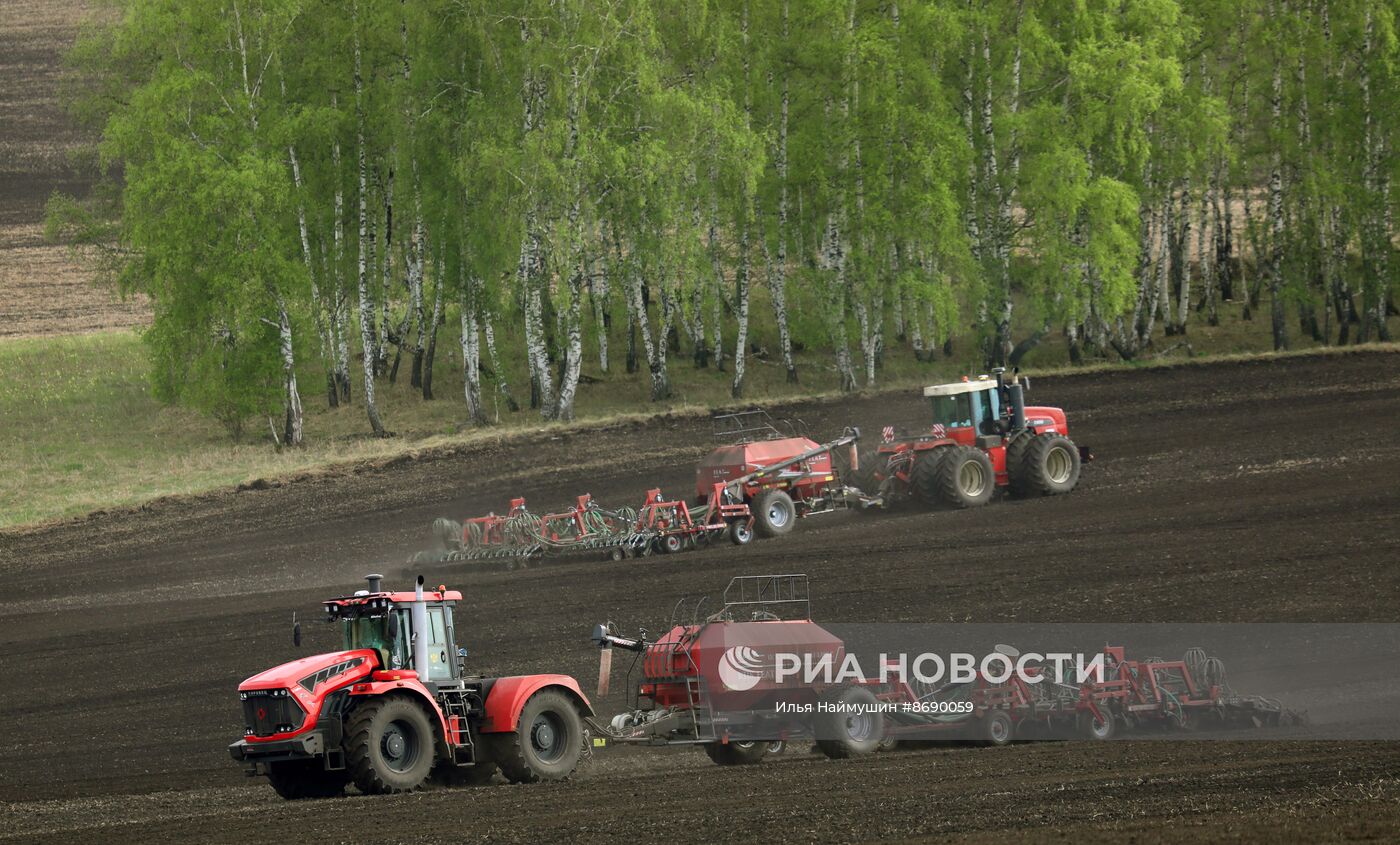 Посевная в Красноярском крае