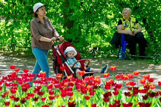 Фестиваль тюльпанов в Санкт-Петербурге