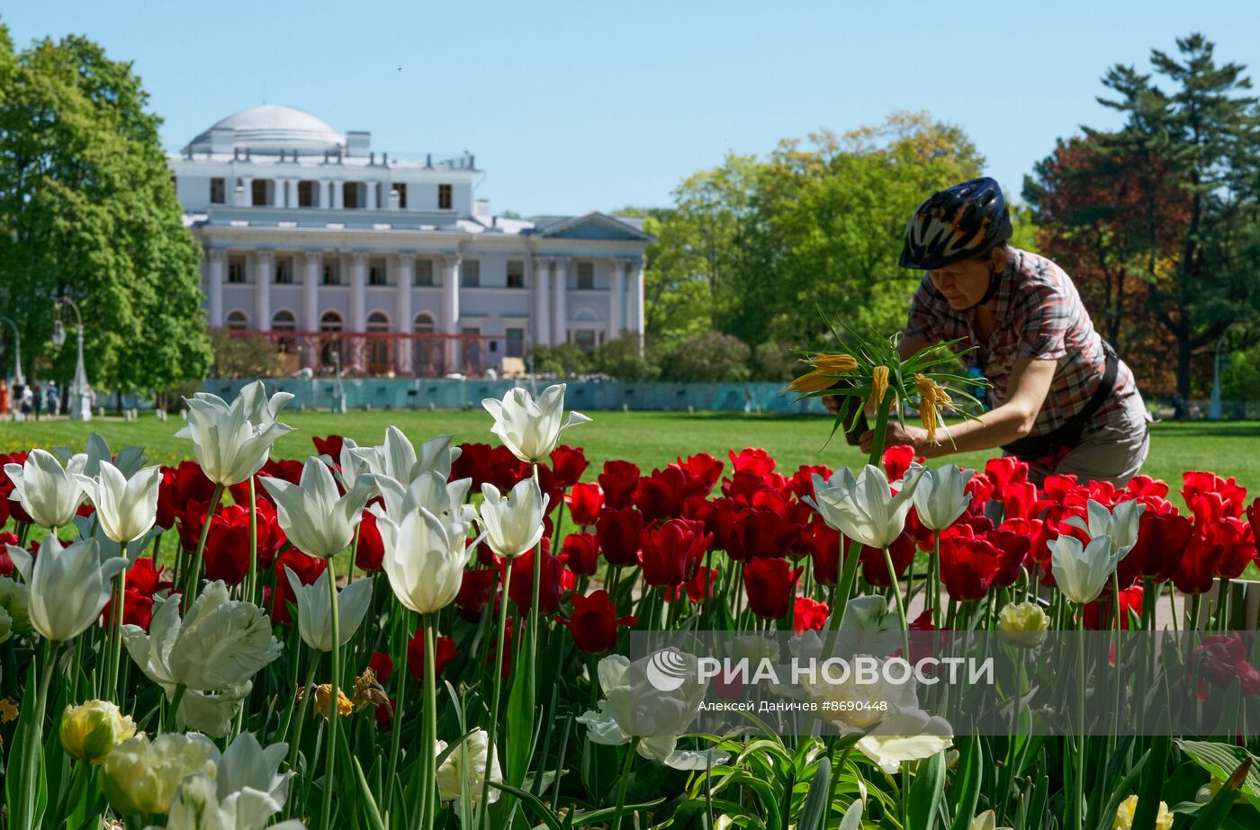 Фестиваль тюльпанов в Санкт-Петербурге