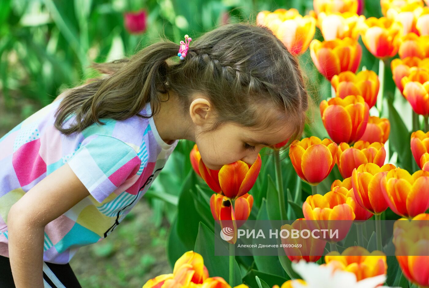 Фестиваль тюльпанов в Санкт-Петербурге