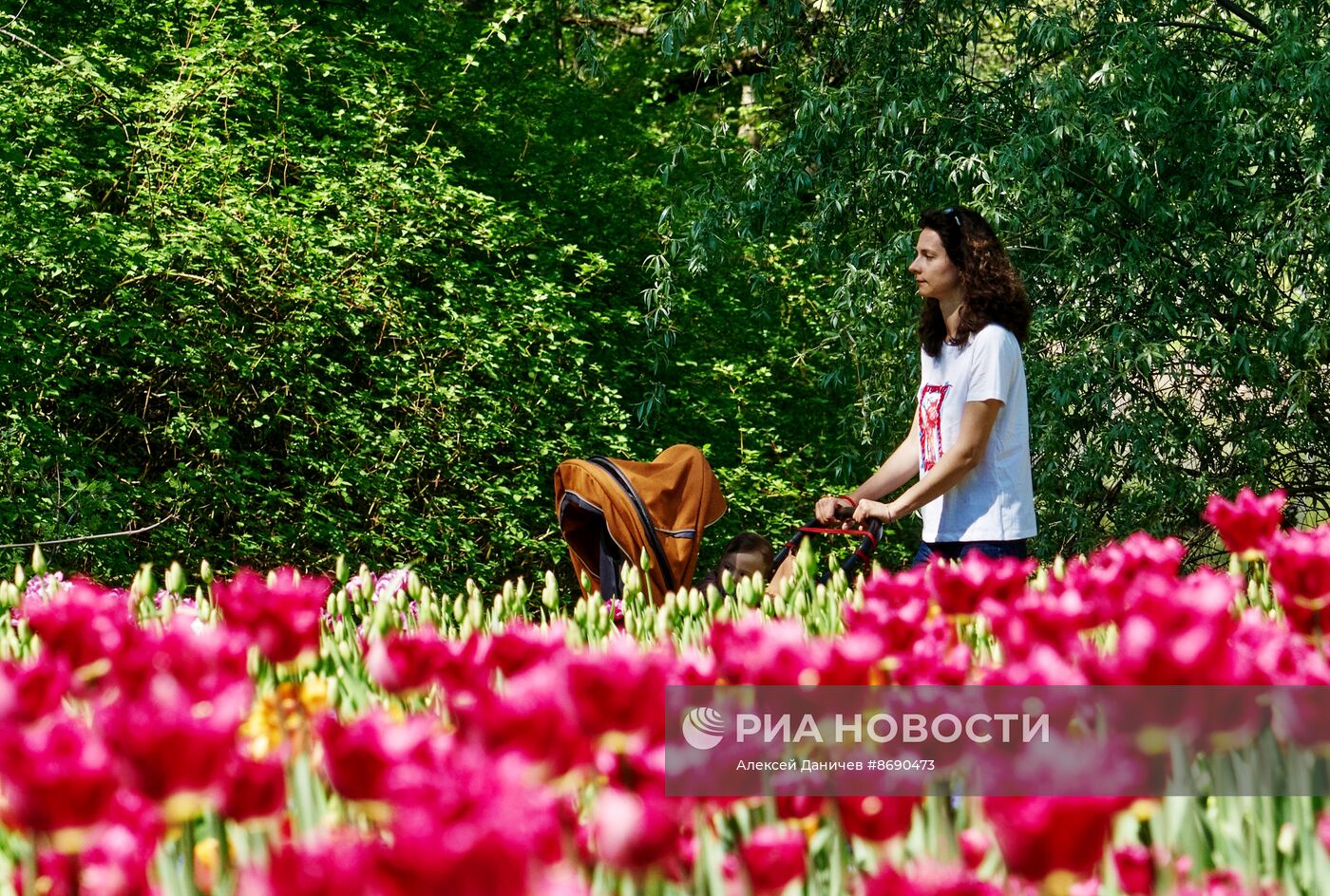 Фестиваль тюльпанов в Санкт-Петербурге