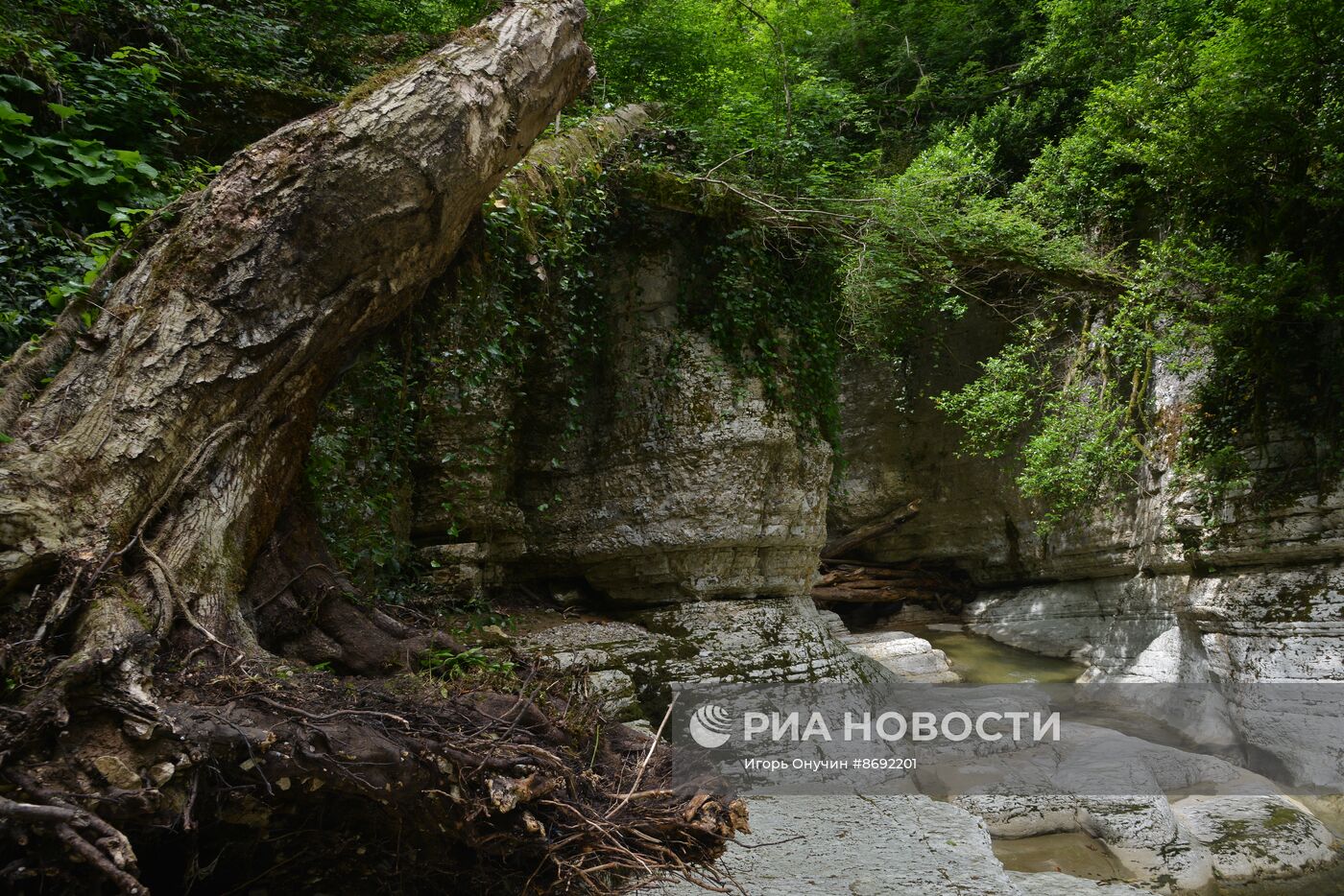 Агурское ущелье в Краснодарском крае