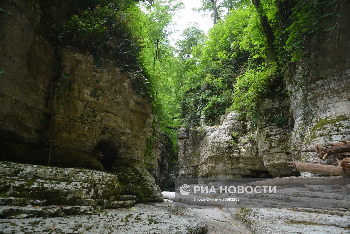 Агурское ущелье в Краснодарском крае