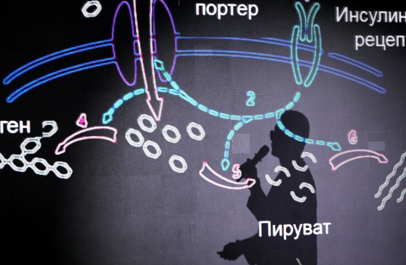 Выставка "Россия". Научная битва Science Slam "Химия будущего"