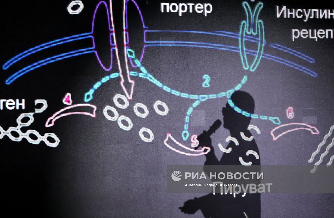 Выставка "Россия". Научная битва Science Slam "Химия будущего"