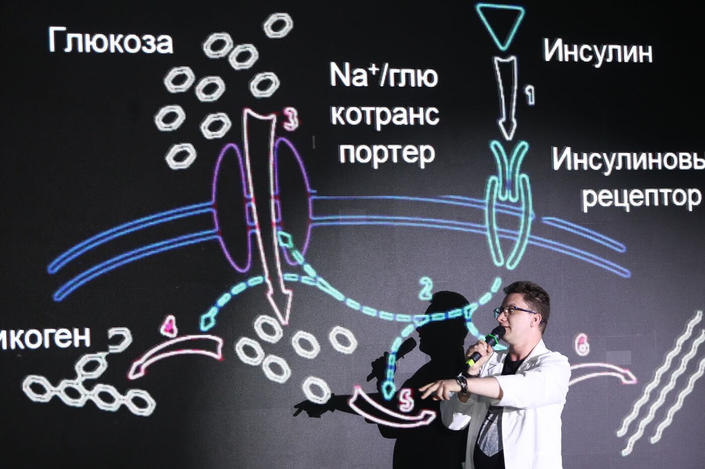 Выставка "Россия". Научная битва Science Slam "Химия будущего"