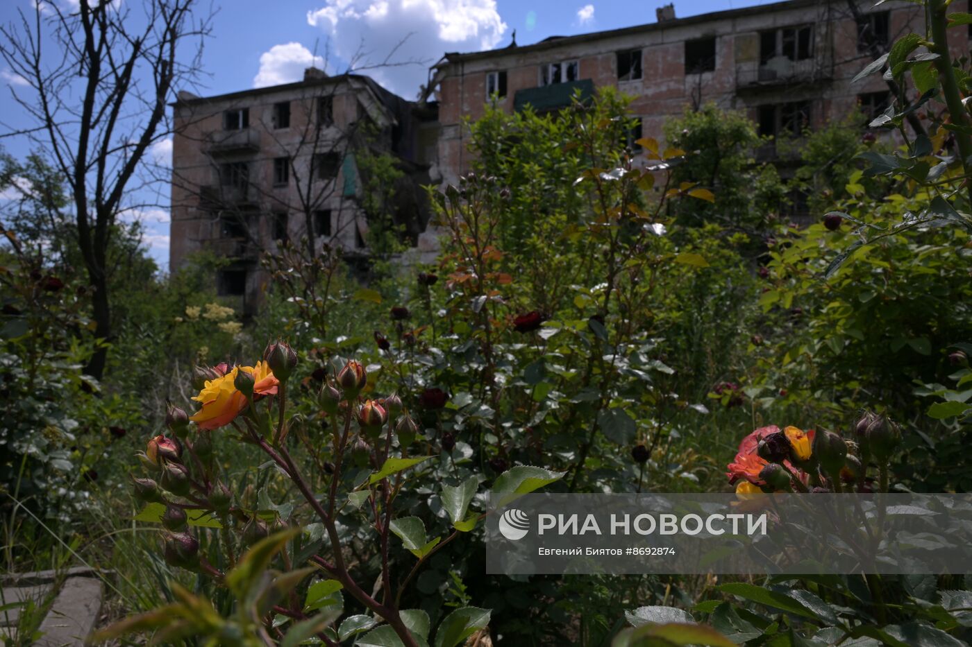 Пострадавший в ходе боевых действий поселок Тошковка в ЛНР