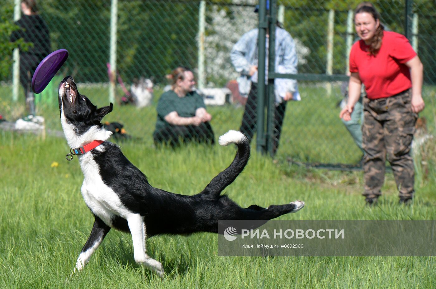 Соревнования "Летающий пёс" в Красноярске