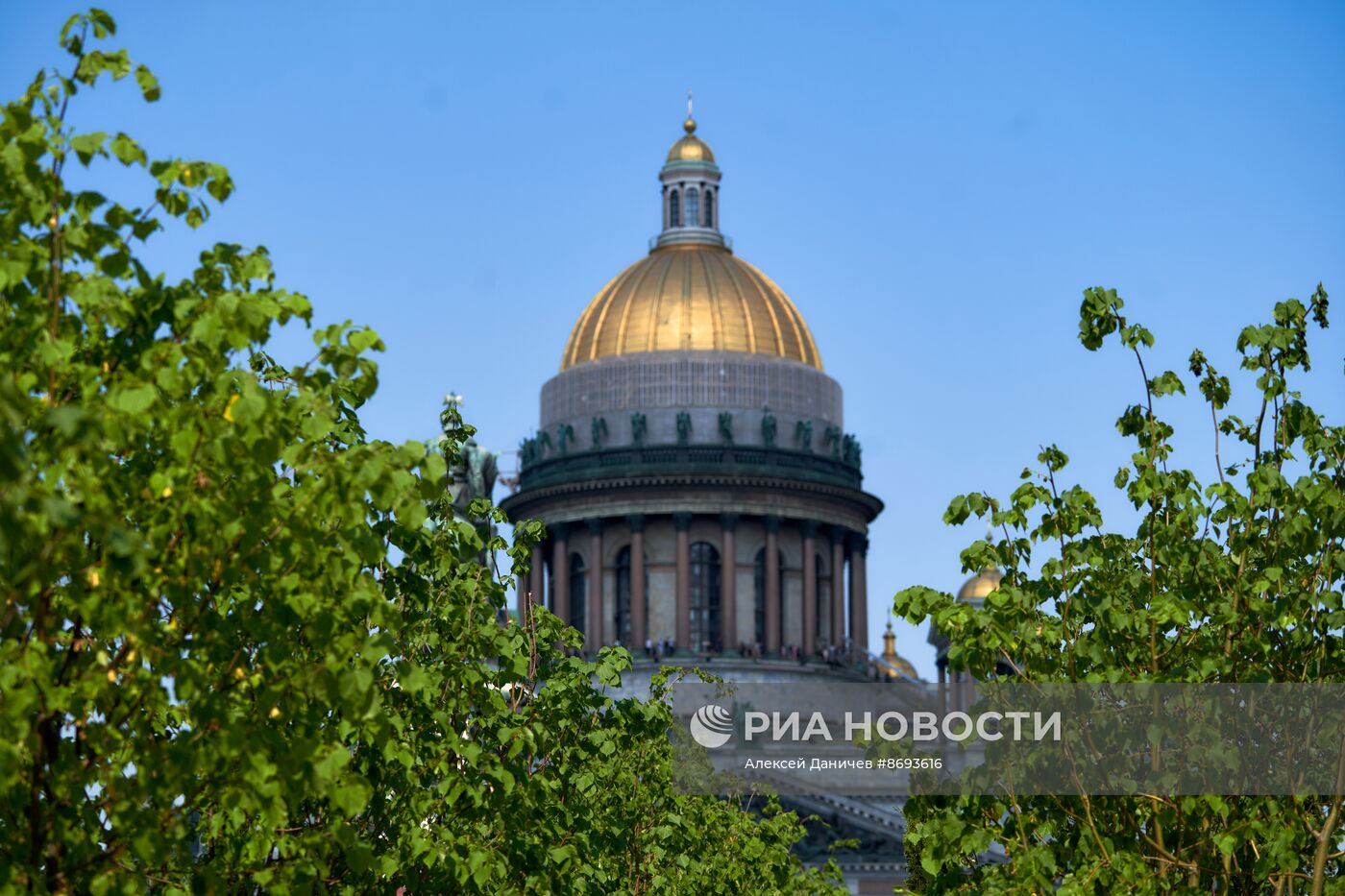 Сад-трансформер в Санкт-Петербурге