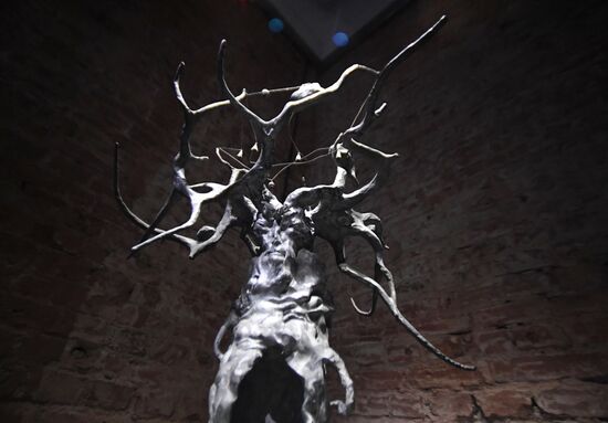 Выставка "Сны Сибири" во Владивостоке