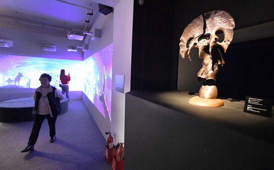 Выставка "Сны Сибири" во Владивостоке