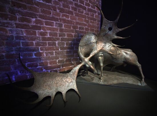 Выставка "Сны Сибири" во Владивостоке