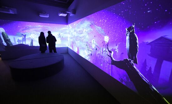 Выставка "Сны Сибири" во Владивостоке