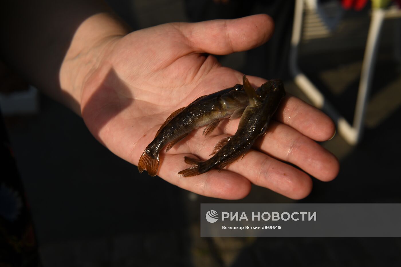 Чемпионат по рыбалке в рамках фестиваля "Москва - на волне. Рыбная неделя"